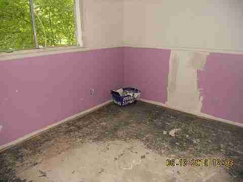 15017 Dolphin (21)_m.jpg